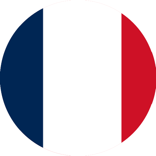 Français国旗