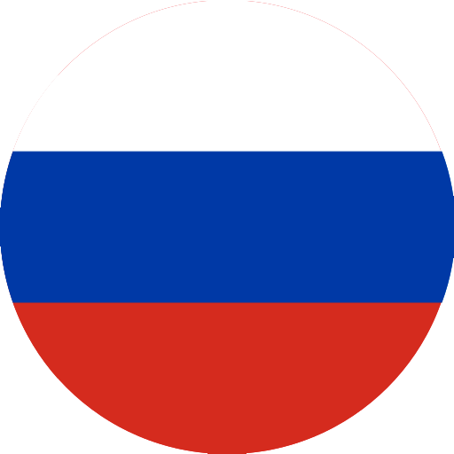 Русский язык国旗
